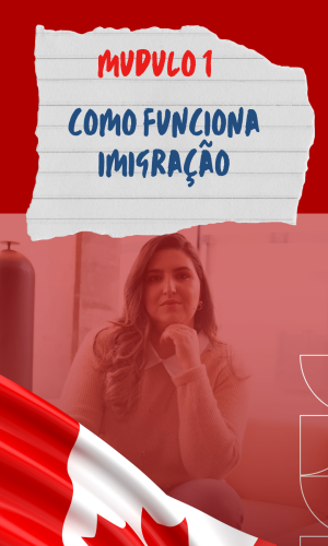 como-funciona-imigracao.png